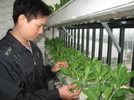 
Vườn sau xanh của anh Biết trên tầng 20 (Ảnh: Nhữ Trang)
