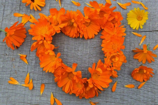 Nếu tình yêu đủ lớn… - 1