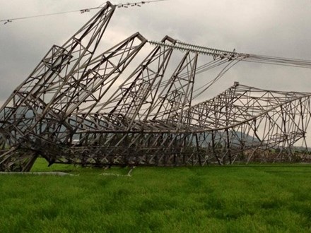 Giám định mẫu bê tông tại cột điện đường dây 500 kV bị đổ - 1 3 cột điện đổ dây chuyền.