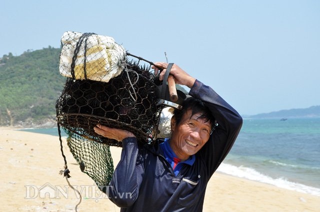Thợ săn nhum vào mùa kiếm nửa triệu đồng mỗi ngày - 1 Thành quả sau một ngày ngâm mình dưới biển