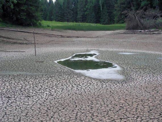 
Sau một đêm cả hồ nước chỉ còn là một vũng nước.
