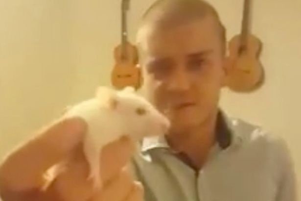 
Matthew Maloney trong video ăn thịt chuột đăng tải hồi tháng 1.2016
