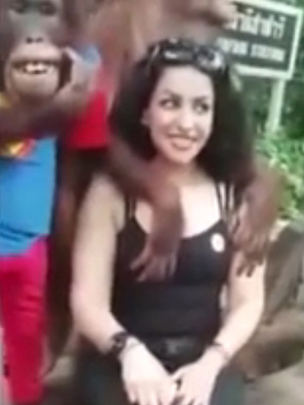 Tinh tinh ranh mãnh "sàm sỡ" nữ du khách - 1 Tinh tinh ranh mãnh "sàm sỡ" nữ du khách - 1