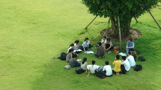 Sinh viên Đại học Tân Tạo trong buổi học nhóm.