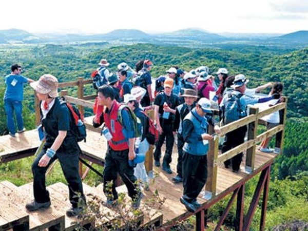 Tìm thấy thêm 9 người Việt trong nhóm “mất tích” ở đảo Cheju - 1 Khách du lịch trên đảo Cheju. (Nguồn: Yonhap)