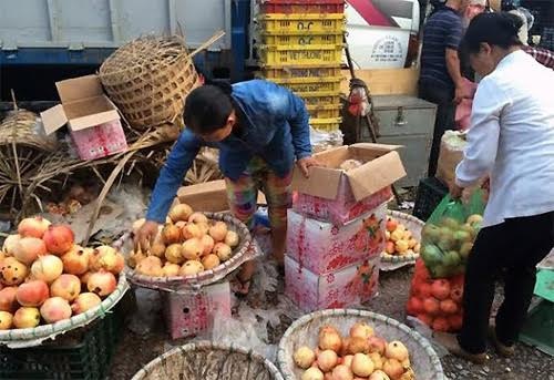 Tiết lộ rợn người của chủ buôn hoa quả Trung Quốc 15 năm - 1
Nhờ buôn hoa quả Trung Quốc mà nhiều người kiếm được tiền tỷ, xây được nhà lầu