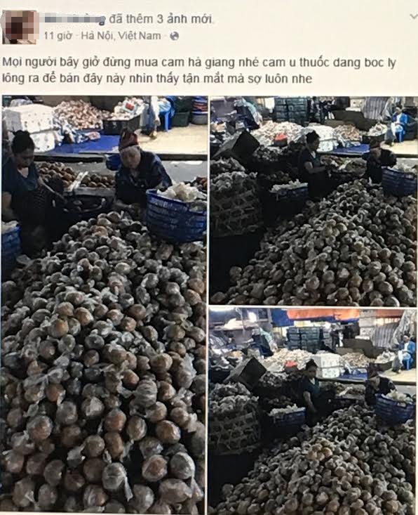 Sự thật cam Hà Giang quấn nilon ngập chợ Hà Nội - 1 Sự thật cam Hà Giang quấn nilon ngập chợ Hà Nội - 1