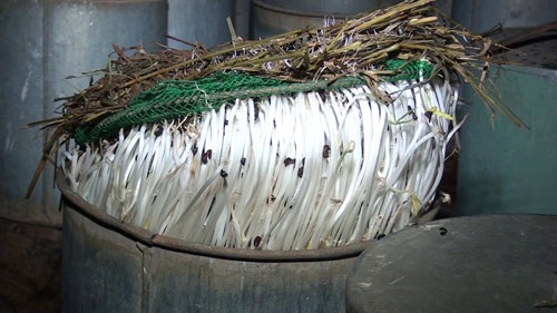 Giá thành phẩm chuẩn bị mang đi tiêu thụ