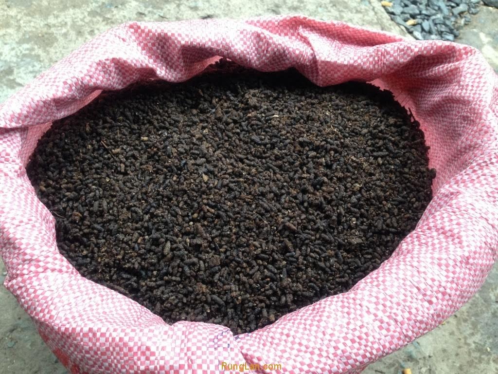Máy bay chở phân dơi ra Hà Nội bón rau siêu sạch - 1
Phân dơi có giá lên đến 60.000 đồng/kg vẫn được mọi người đặt mua