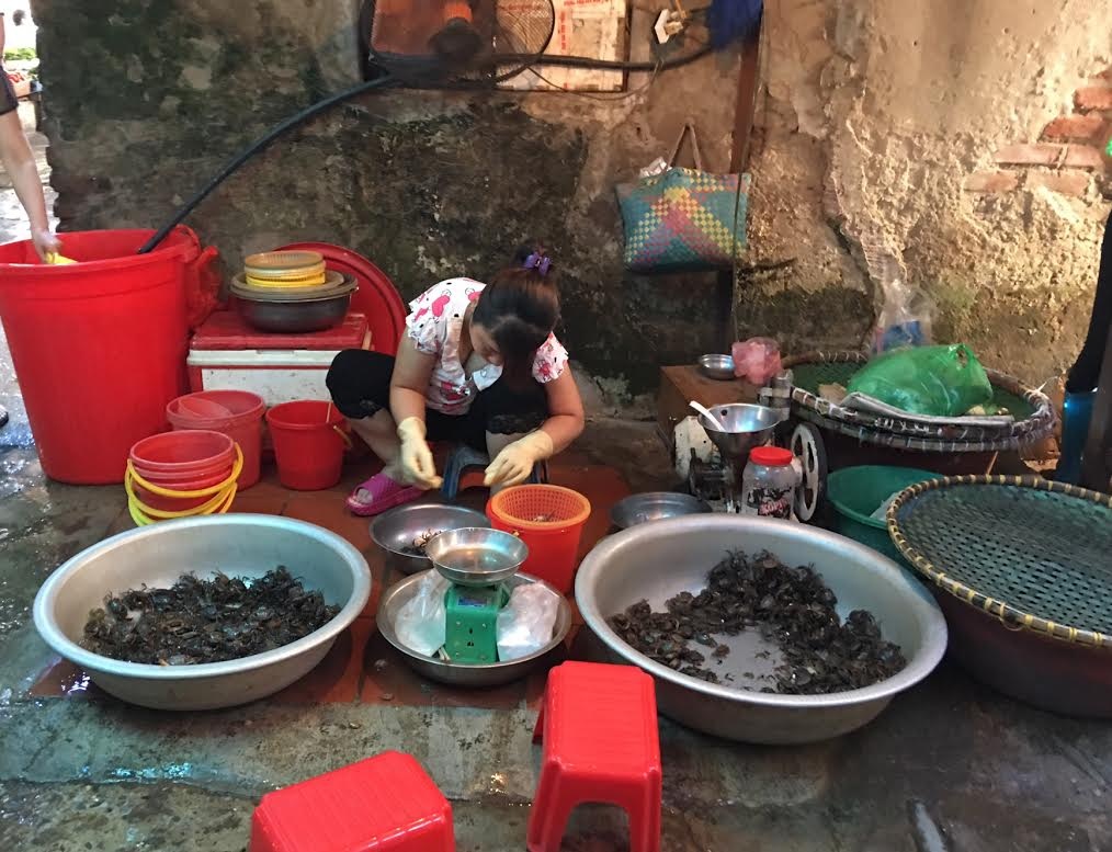 Năm nay lạ lắm: Nắng 40 độ cua đồng vẫn ế sưng - 1
Nắng thiêu đốt, hàng cua đồng vẫn không một bóng khách