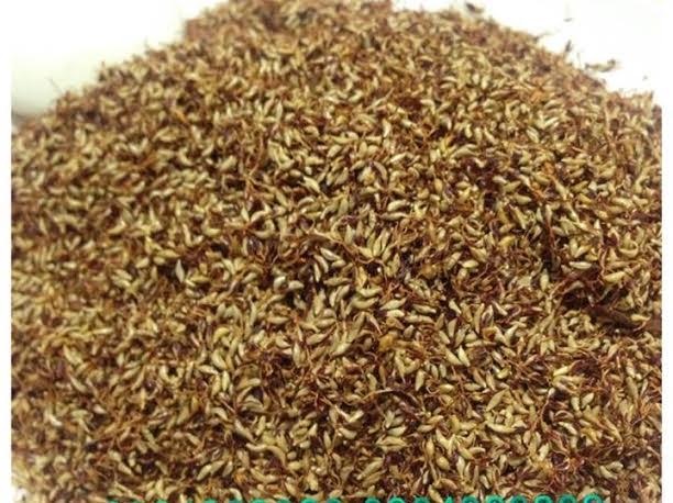 Thạch rừng bí ẩn: Không cần biết tên, ăn không sợ chết - 1
Hạt rừng lạ được mọi người mua về làm thạch ăn giải nhiệt
