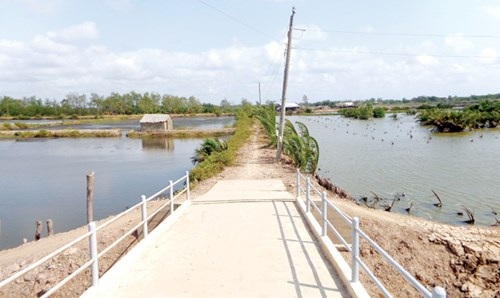 Tỷ phú chân đất ở Trà Vinh - 1 Khu nuôi tôm của ông Thạch Thương sau nhiều năm cải tạo và đầu tư mở rộng.