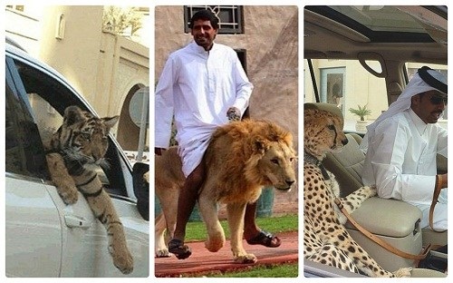 Những hình ảnh "bá đạo" chỉ có ở Dubai - 1 Những hình ảnh "bá đạo" chỉ có ở Dubai - 1