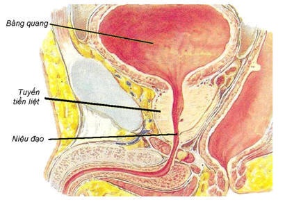 Hậu quả khi nam giới “tự sướng” - 1 Hậu quả khi nam giới “tự sướng” - 1