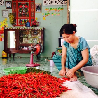Lao động phổ thông dễ tìm việc thời điểm cận Tết - 1
Người lao động lặt ớt tại huyện Thanh Bình