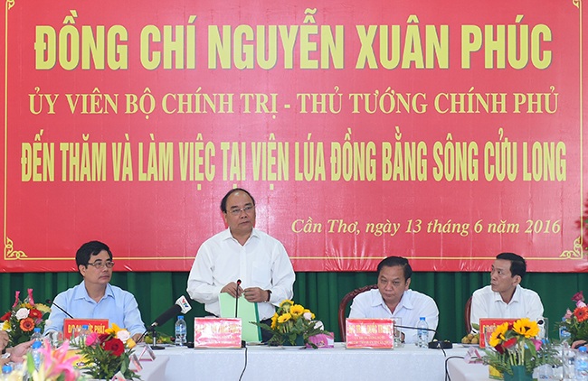 Thủ tướng đặt hàng các nhà khoa học Viện Lúa ĐBSCL - 1
Thủ tướng Nguyễn Xuân Phúc làm việc với lãnh đạo, cán bộ của Viện Lúa ĐBSCL - Ảnh: VGP/Quang Hiếu