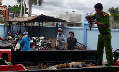 Công an kiểm tra số chó mà nghi can Phương trộm.