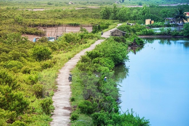 Trải nghiệm vẻ hoang sơ của sông nước ngập mặn ngay gần Thủ đô - 1 Trải nghiệm vẻ hoang sơ của sông nước ngập mặn ngay gần Thủ đô - 1