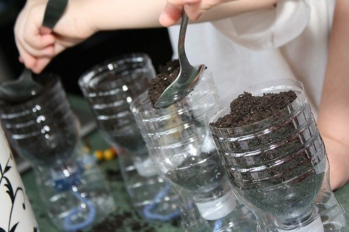 Mách "nông dân phố" bí quyết trồng cây từ vỏ chai nhựa - 9 Mách "nông dân phố" bí quyết trồng cây từ vỏ chai nhựa - 9