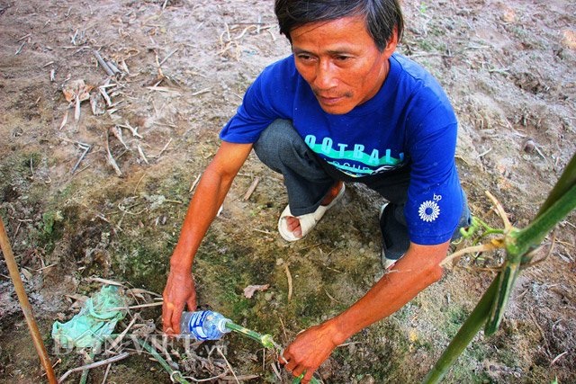 Thơm ngon nước lấy từ thân bí đao "khủng" giá 40.000 đồng/lít - 6 Thơm ngon nước lấy từ thân bí đao "khủng" giá 40.000 đồng/lít - 6