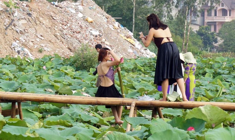 Áo dài, áo yếm đọ dáng cùng sen dưới nắng nóng - 10 Áo dài, áo yếm đọ dáng cùng sen dưới nắng nóng - 10
