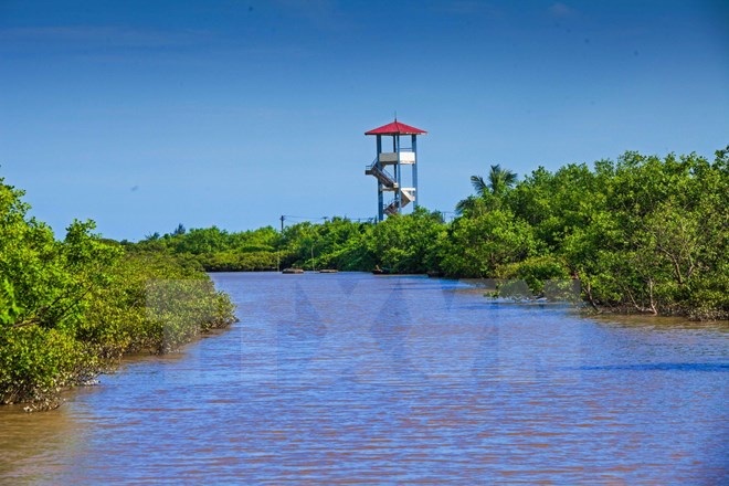 Trải nghiệm vẻ hoang sơ của sông nước ngập mặn ngay gần Thủ đô - 10 Trải nghiệm vẻ hoang sơ của sông nước ngập mặn ngay gần Thủ đô - 10