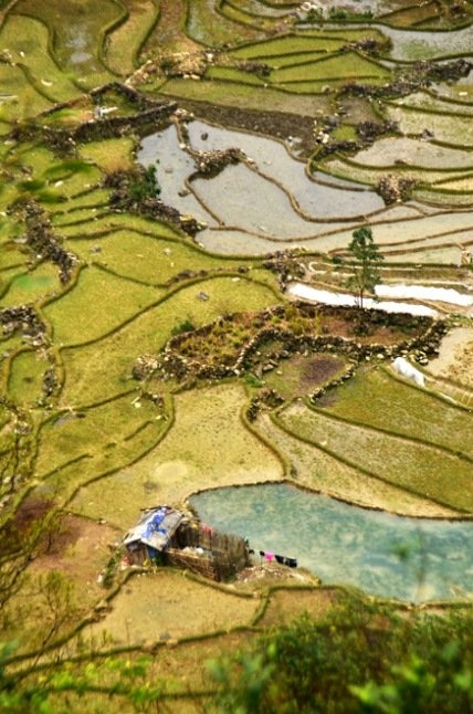 Có một Mù Cang Chải mùa nước đổ đẹp như tranh vẽ - 11 Có một Mù Cang Chải mùa nước đổ đẹp như tranh vẽ - 11