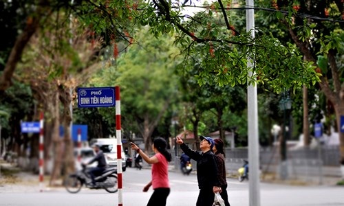 Lộc vừng Hồ Gươm rắc mưa hoa chờ gót son xuống phố - 11 Lộc vừng Hồ Gươm rắc mưa hoa chờ gót son xuống phố - 11