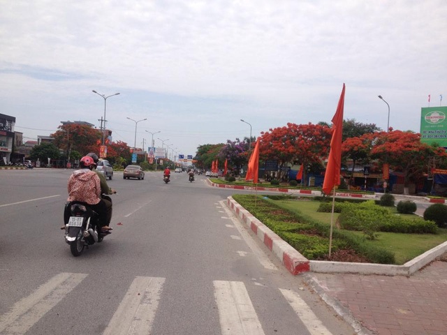 Ngắm vẻ đẹp nao lòng của đường hoa phượng dài nhất Việt Nam - 11 Ngắm vẻ đẹp nao lòng của đường hoa phượng dài nhất Việt Nam - 11