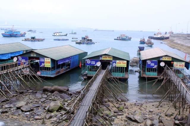 Biển đẹp nhất Hà Tĩnh đìu hiu sau thảm họa cá biển chết "bí ẩn" - 12