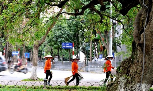 Lộc vừng Hồ Gươm rắc mưa hoa chờ gót son xuống phố - 12
Theo Xuân Tùng
TPO