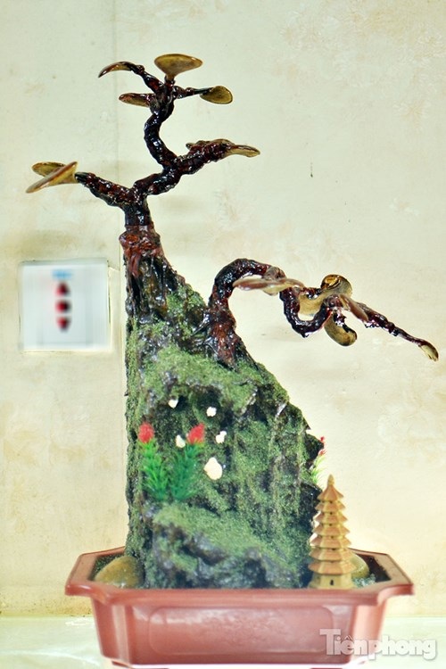 Cận cảnh nấm linh chi bonsai tiền triệu chơi Tết - 12
...Và trang trí thêm một số đồ vật khác.