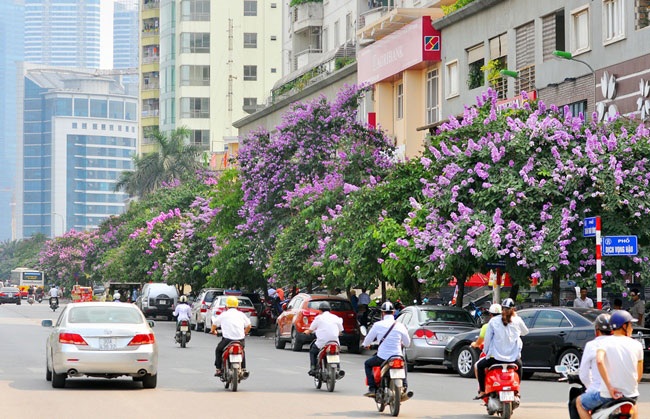5 loài hoa khiến Hà Nội thơ hơn giữa mùa hạ cháy - 9 5 loài hoa khiến Hà Nội thơ hơn giữa mùa hạ cháy - 9