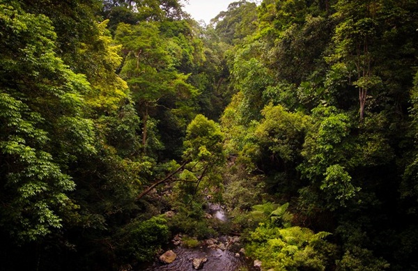 Xây thủy điện trong khu bảo tồn: “Vì lợi ích quốc gia”? - 2 Tỉnh Gia Lai cho rằng khoảng 10km dòng suối Say sẽ cạn kiệt nếu xây dựng dự án thủy điện tại đây.  (Ảnh: Doãn Vinh)