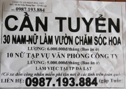 Sự thật về 4 lao động Quảng Trị bị mất tích ở Lâm Đồng - 2 Thông báo tuyển việc làm ở Đà Lạt lừa đảo người lao động. Ảnh: HƯNG THƠ