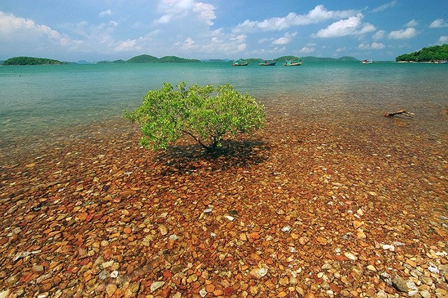Dân phượt "sốt xình xịch" với đảo Bà Lụa hoang sơ - 2 Dân phượt "sốt xình xịch" với đảo Bà Lụa hoang sơ - 2