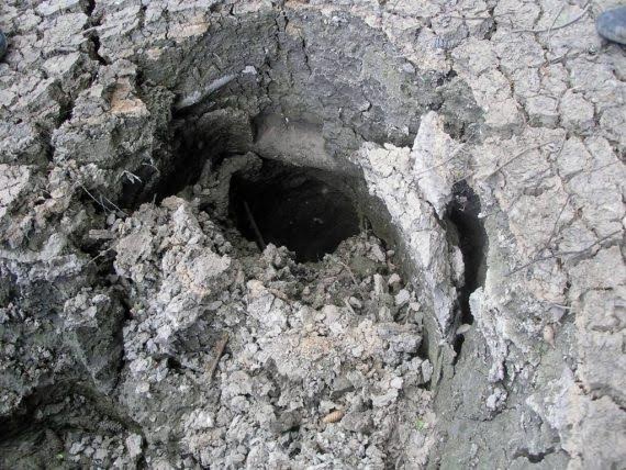 
Người ta tìm thấy một cái hố bí ẩn dưới lòng hồ.
