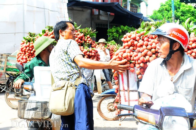 Thương lái Trung Quốc tràn ngập chợ vải thiều, ép giá nông dân - 2
Rất nhiều các thương lái có mặt tại đây, họ trả giá khá thấp mặc dù chất lượng vải rất tốt.