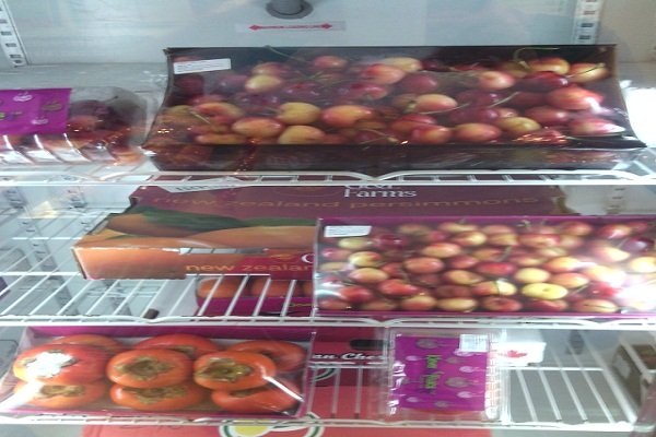 Lạc giữa “mê cung” cherry - 2
Mùa vụ chính của cherry vàng Mỹ chỉ kéo dài tử 1 – 2 tuần
