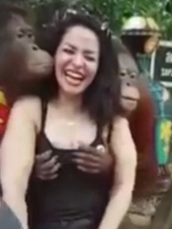 Tinh tinh ranh mãnh "sàm sỡ" nữ du khách - 2 Tinh tinh ranh mãnh "sàm sỡ" nữ du khách - 2