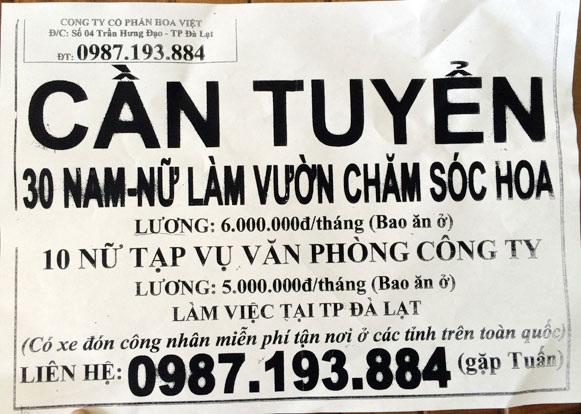 Nạn nhân vụ "cưỡng ép" lao động ở Lâm Đồng kể về những ngày kinh hoàng - 2 Tờ rơi tuyển dụng của Công ty cổ phần Hoa Việt ghi địa chỉ là số 4-Trần Hưng Đạo, TP.Đà Lạt. Ảnh: N.V