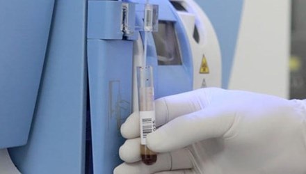 Những chuyện không thể tin nổi tại trung tâm xét nghiệm ADN - 2 Đến tuổi 80 cụ ông vẫn phải đến trung tâm xét nghiệm ADN để nhận con. Ảnh minh họa