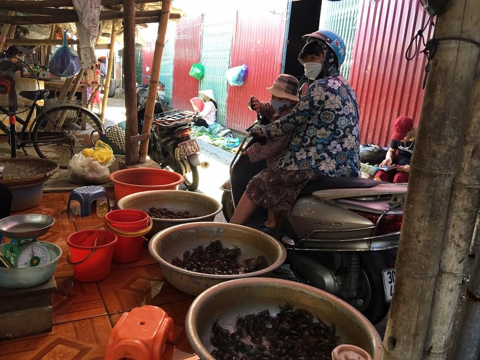 Năm nay lạ lắm: Nắng 40 độ cua đồng vẫn ế sưng - 2
Ngồi bán cả buổi nhưng khách đến mua thưa thớt
