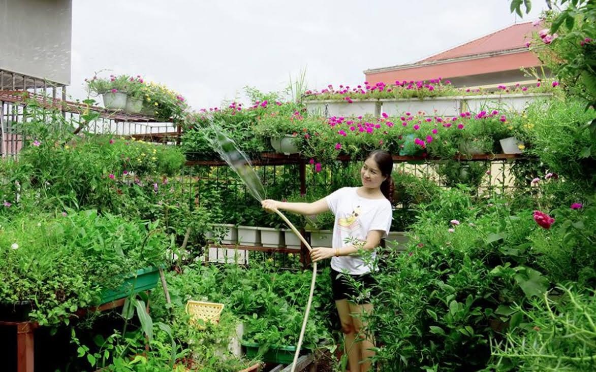 Lý do chị trưởng phòng buổi trưa trùm kín trốn cơ quan - 2
Để vườn rau sân trên sân thượng không bị chết cháy, nhiều người phải trốn việc cơ quan để về nhà tưới rau vào mỗi buổi trưa (ảnh minh họa)