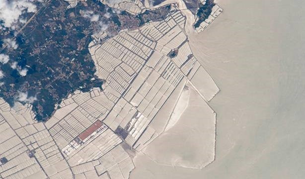 Một trang trại nuôi cá ở Trung Quốc. (Nguồn: CCTVNews)