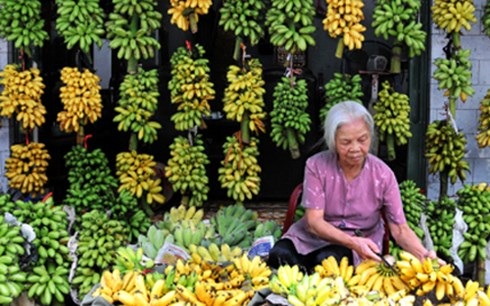 Đặc sản quà quê “lên ngôi” dịp Tết - 1
Chuối ngự - đặc sản của Hà Nam, Nam Định