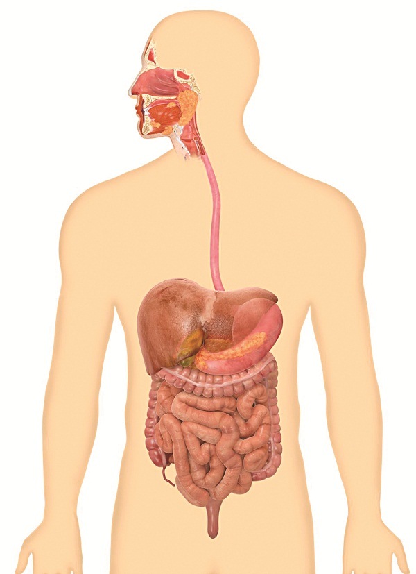 Đừng truyền dịch, hãy cố gắng ăn! - 2 Nếu bạn ăn vào, bạn sẽ làm hệ tiêu hóa hoạt động