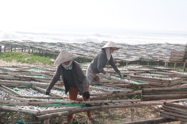 Người phơi cá “bảo hộ lao động” bằng cách mặc quần áo dày kín mít.