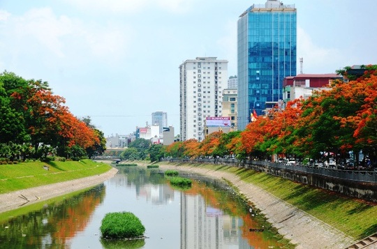 Hà Nội rực rỡ, quyến rũ những sắc hoa tháng Năm vào hạ - 2