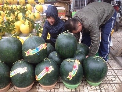 
Chủ cửa hàng tranh thủ lúc vắng khách đi nhập hàng về 
